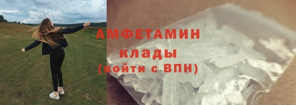 ГАЛЛЮЦИНОГЕННЫЕ ГРИБЫ Алексин