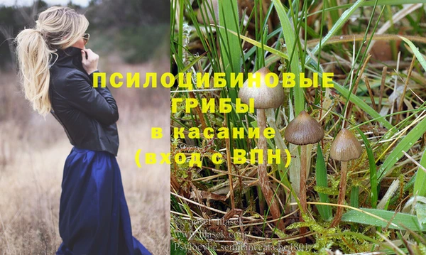 винт Арсеньев