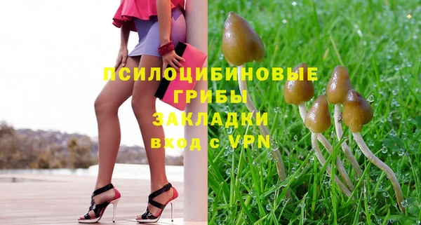 винт Арсеньев