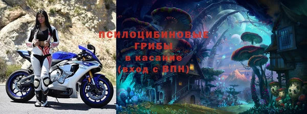 винт Арсеньев