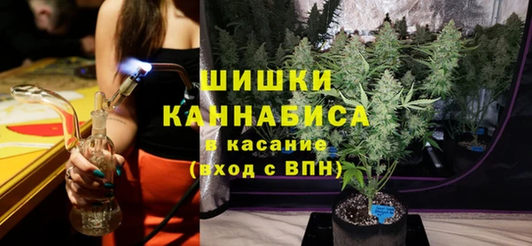винт Арсеньев