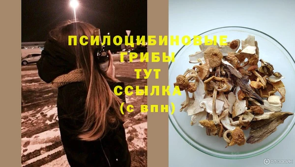 прущий лед Армянск
