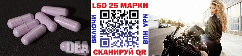 LSD-25 экстази ecstasy  kraken рабочий сайт  Могоча 
