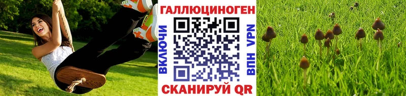 наркотики  Могоча  hydra сайт  Галлюциногенные грибы Psilocybe 