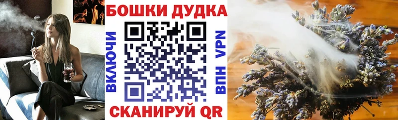 Шишки марихуана Bruce Banner  omg зеркало  Могоча  наркотики 
